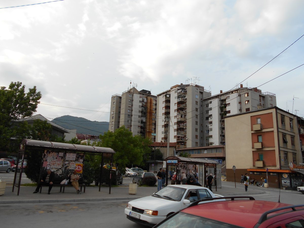 25442.jpg