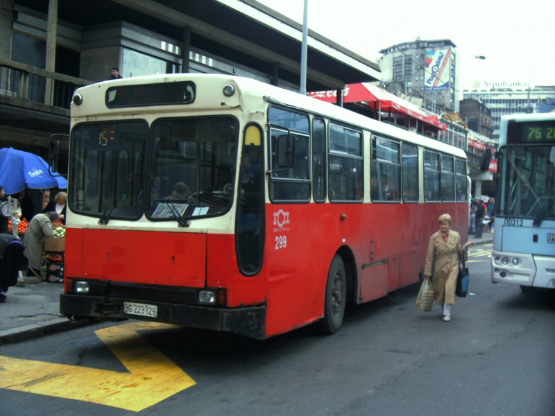 299.jpg