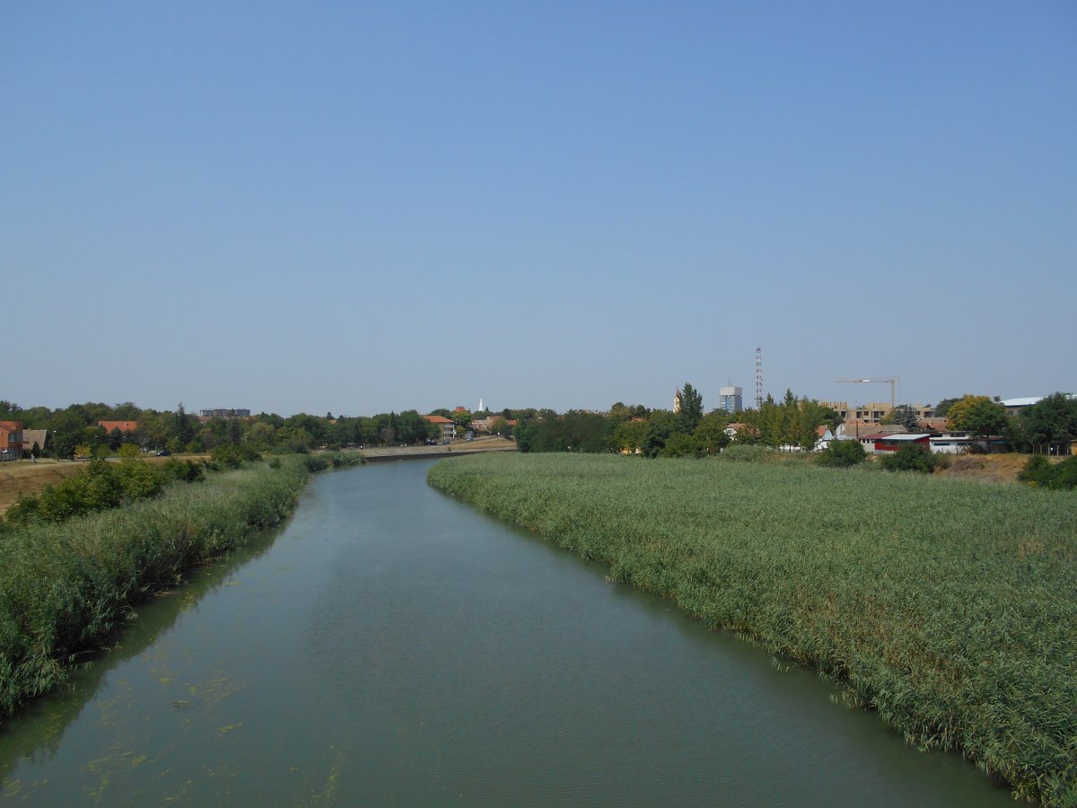 31906.jpg
