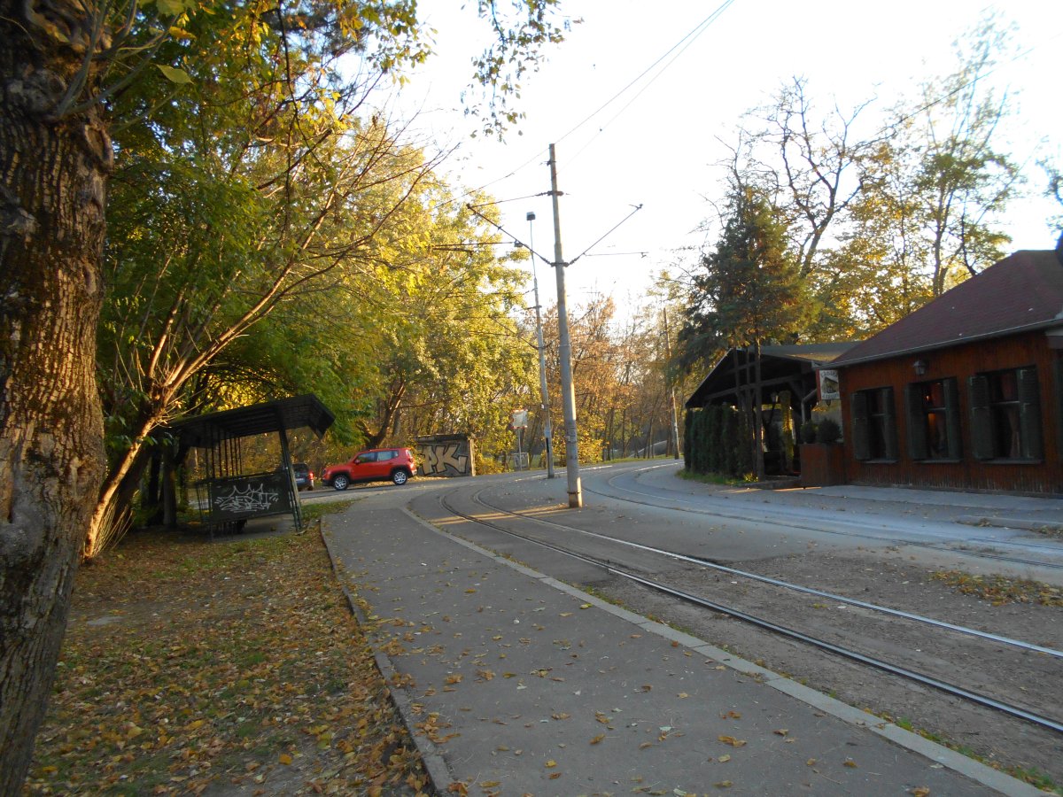 364.jpg