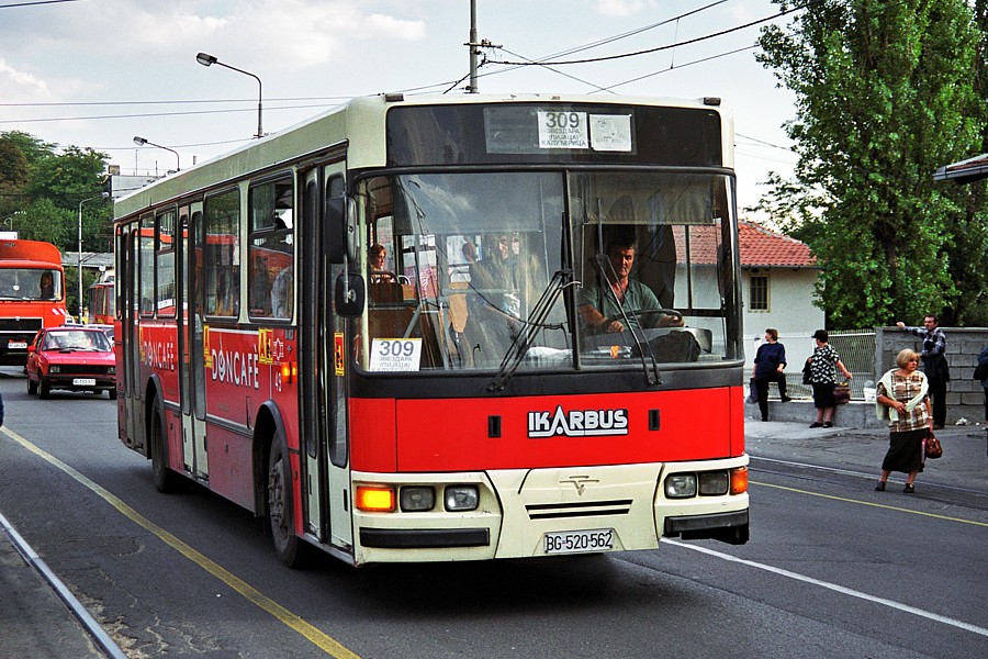 49.jpg