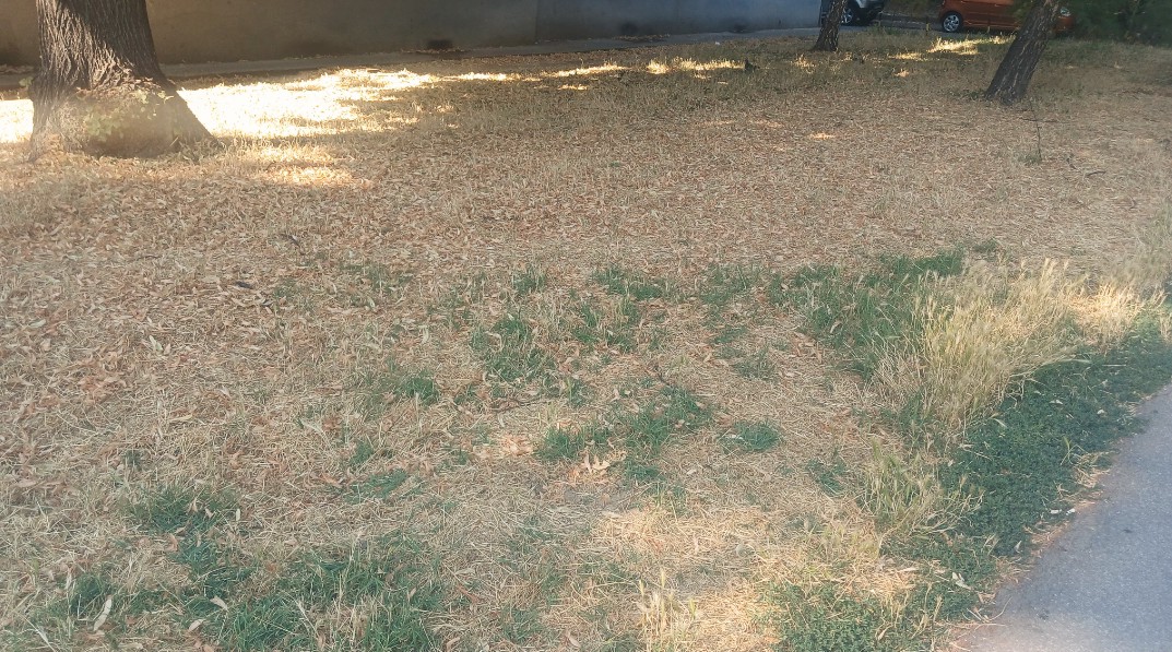 507045028.jpg