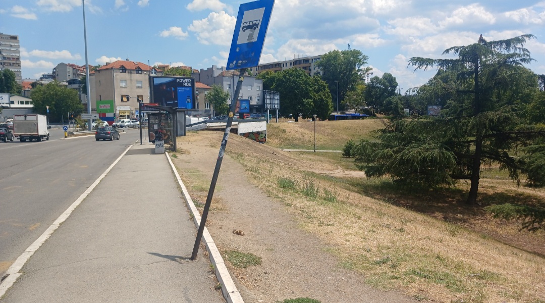 507161.jpg