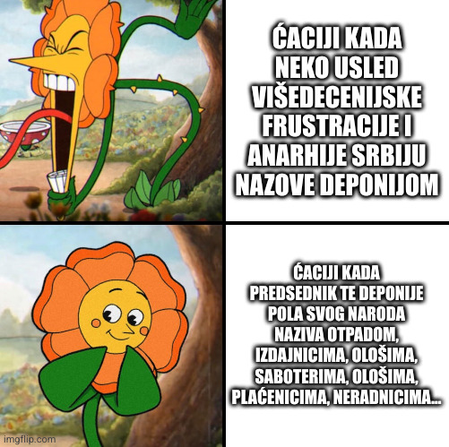 a5a1mn.jpg