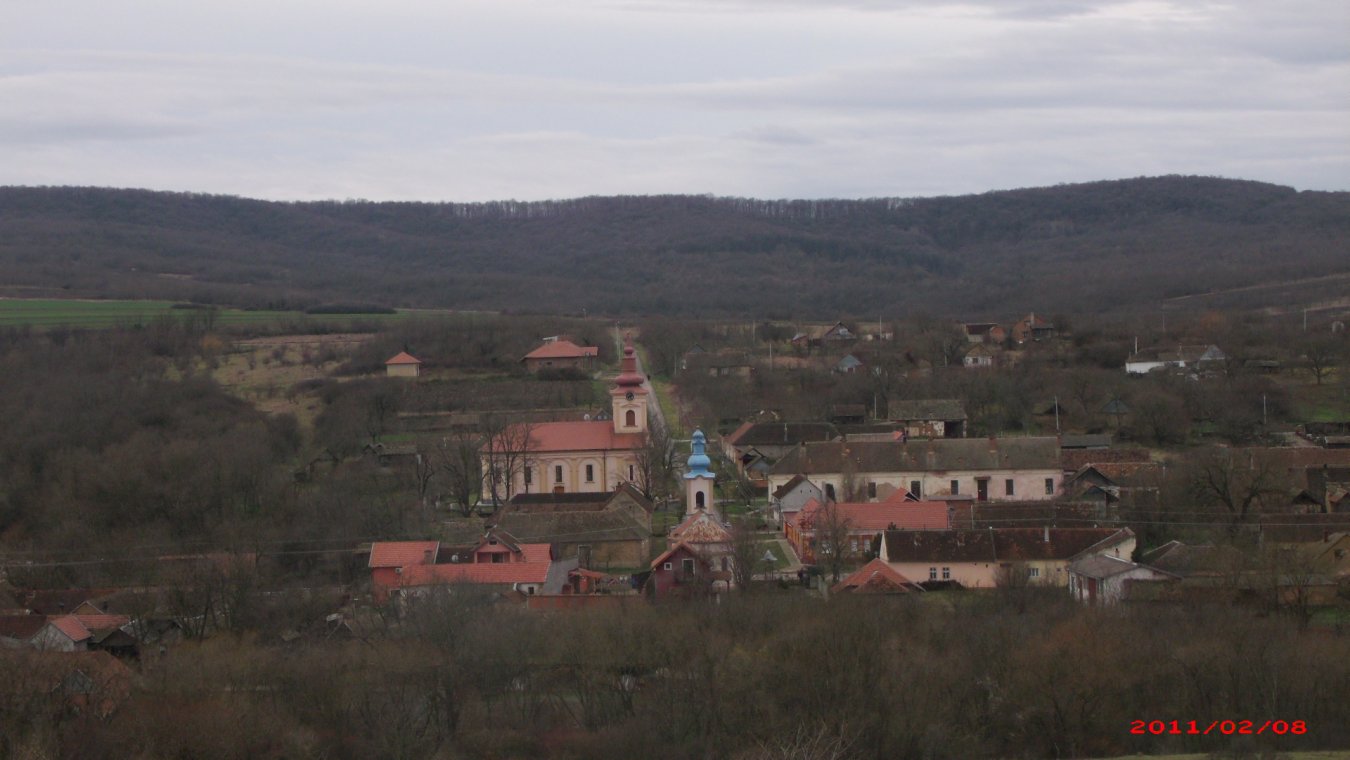 APDC0109.JPG