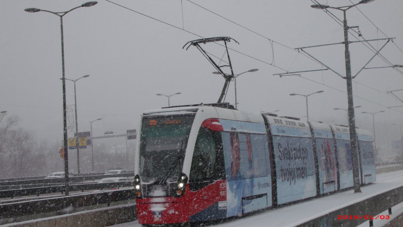 APDC2394.JPG