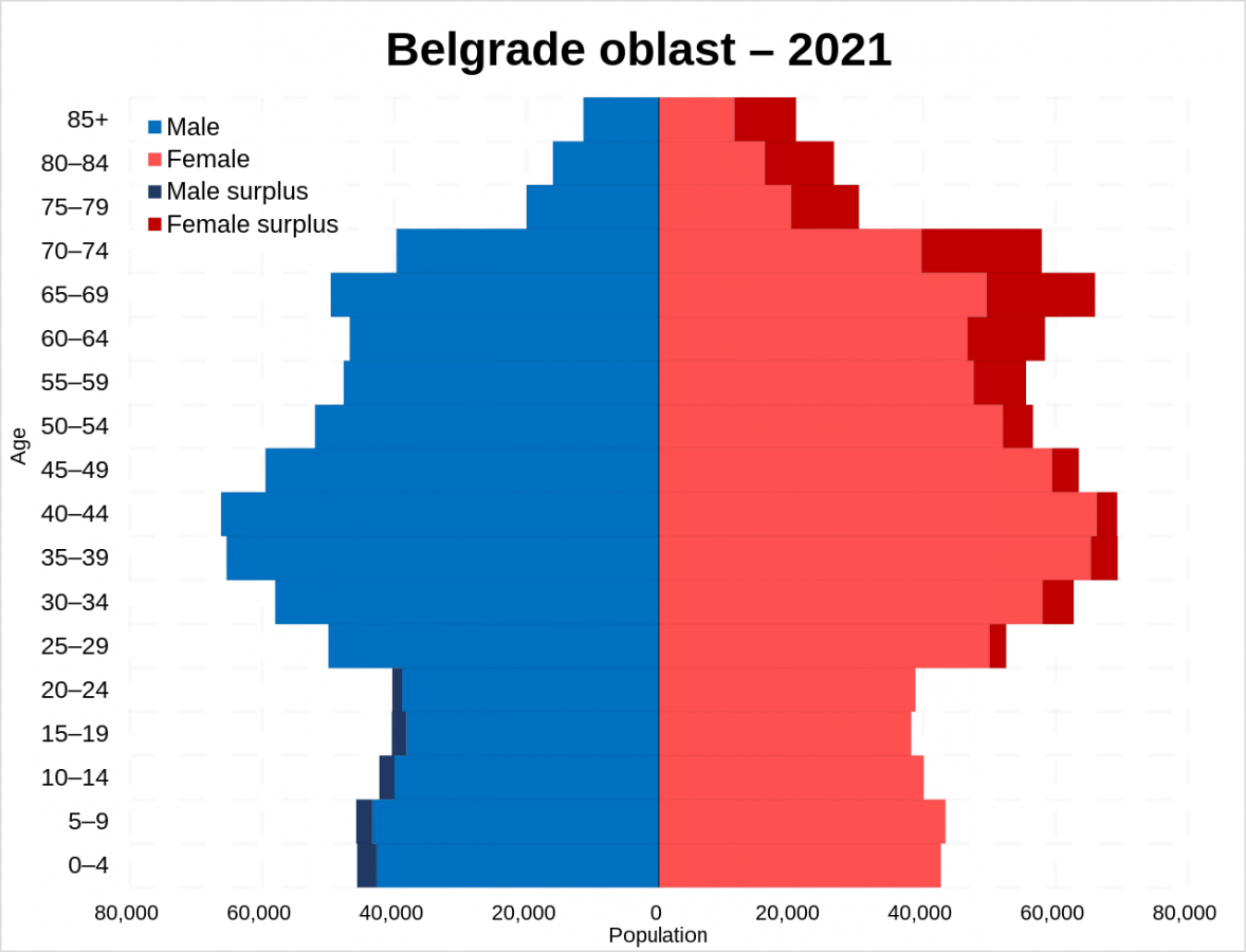 Belgrade_oblast_population_pyramid_in_2021.svg.png
