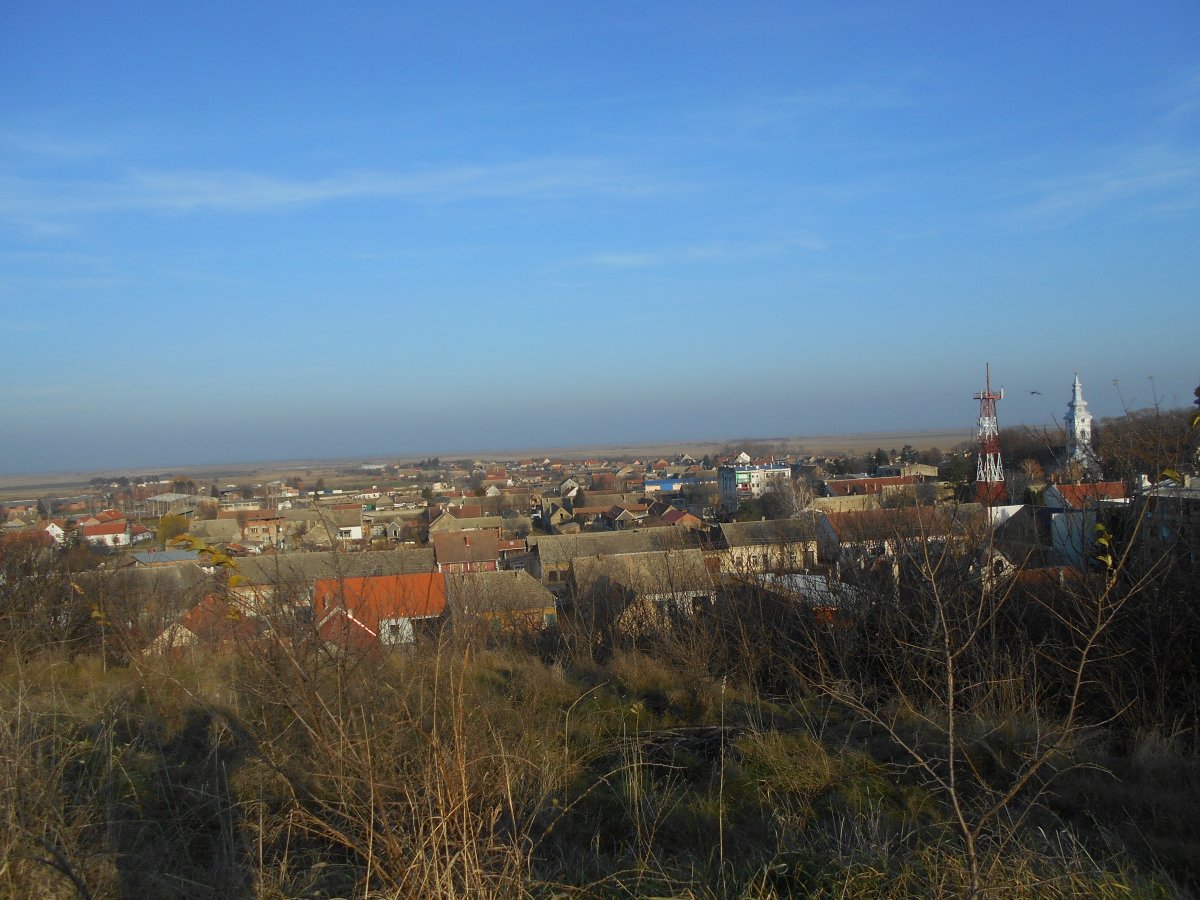 bgdal 029.jpg