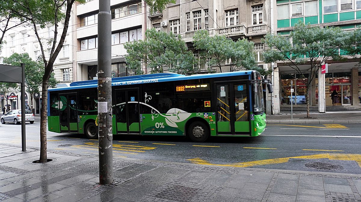bus 01.jpg