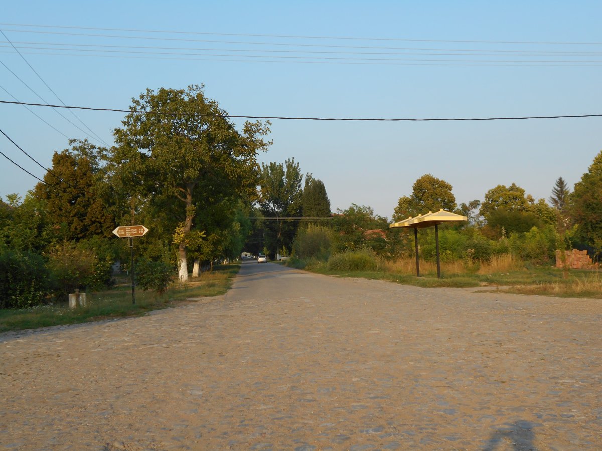 debeljacaaa 035.jpg