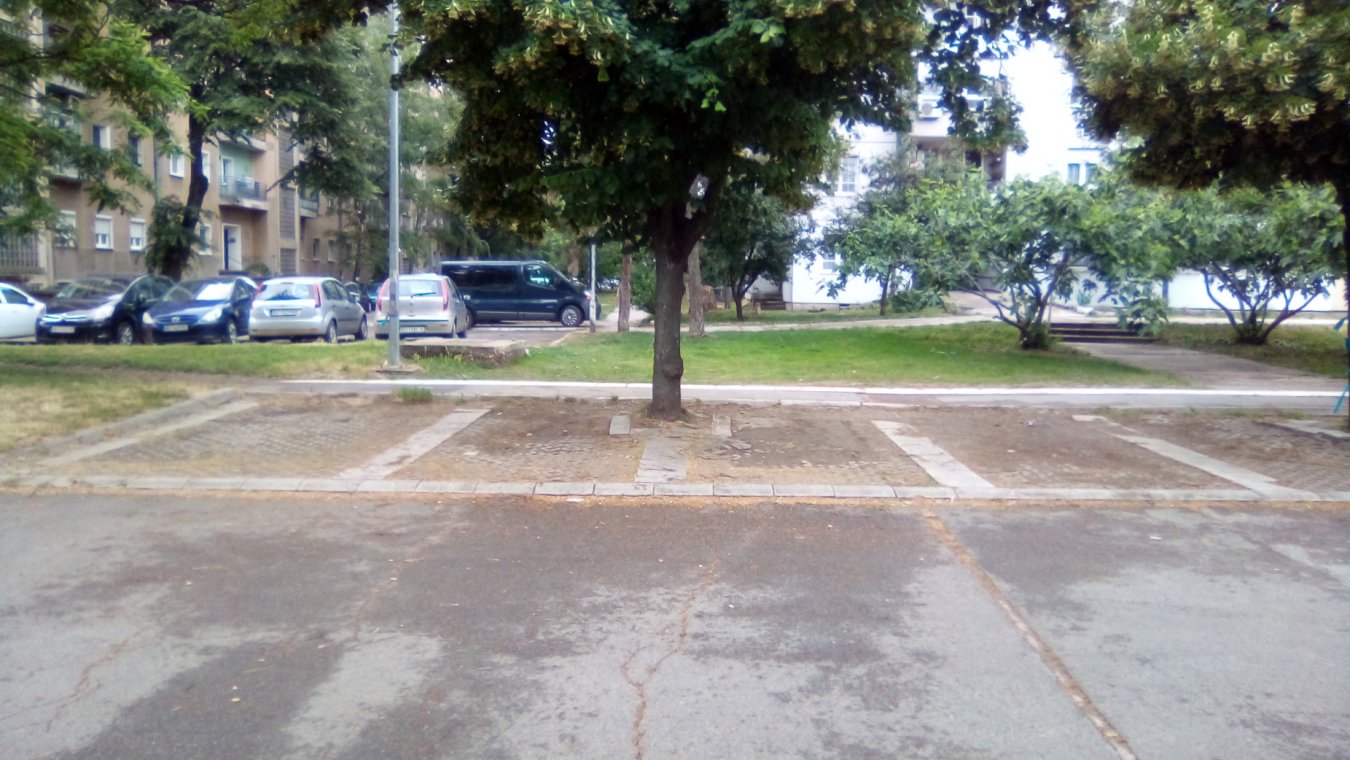 drvo parking 1.jpg