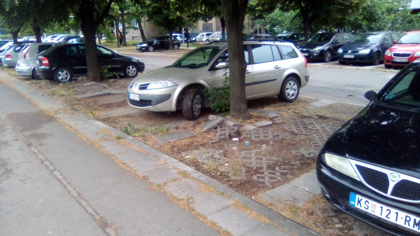 drvo parking 4.jpg