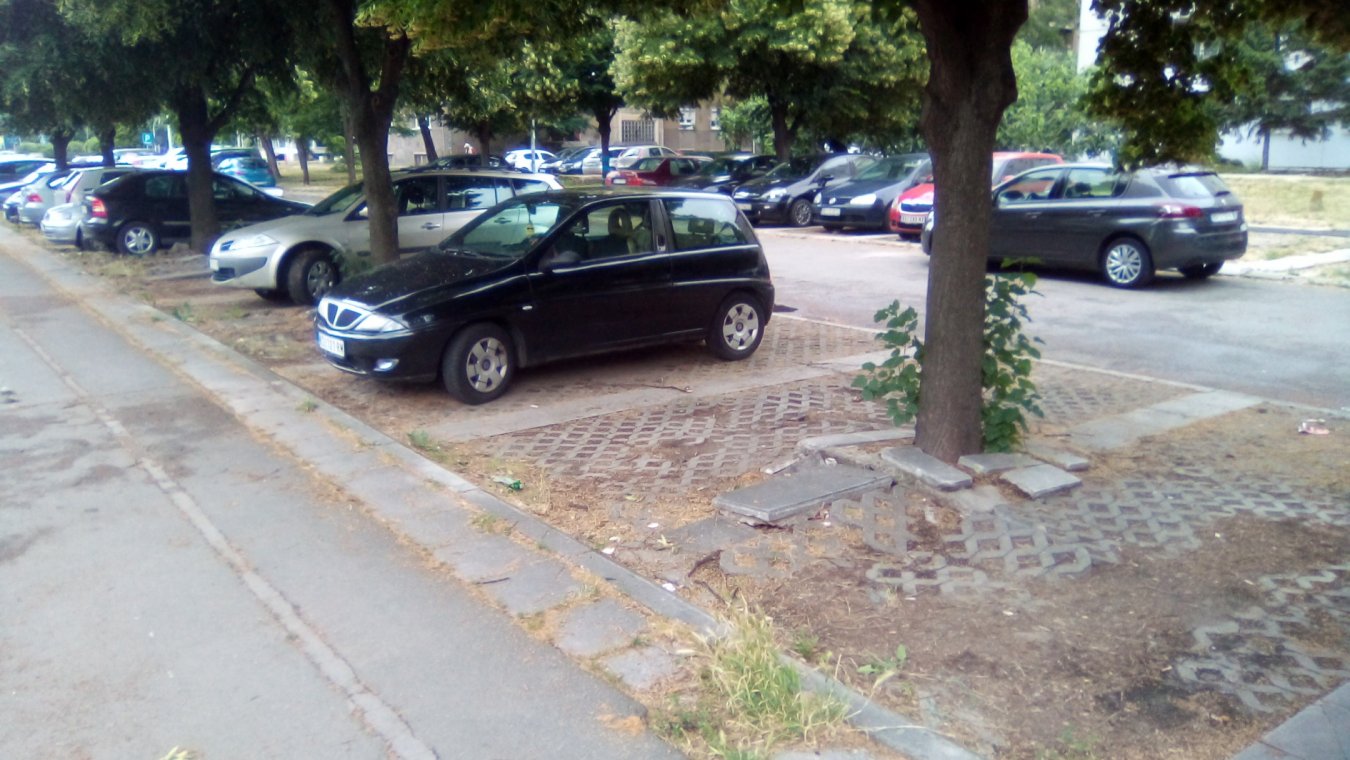 drvo parking 5.jpg