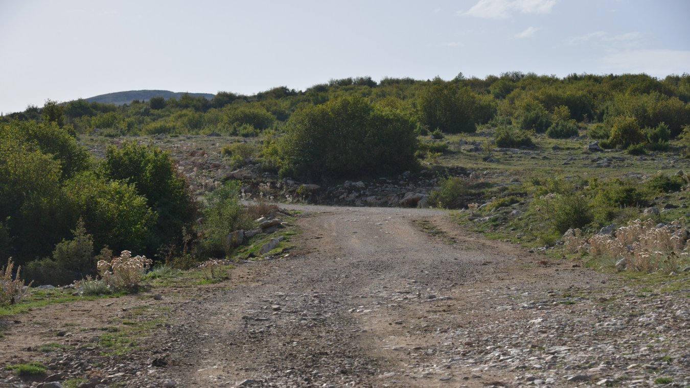 DSC_2695.jpg