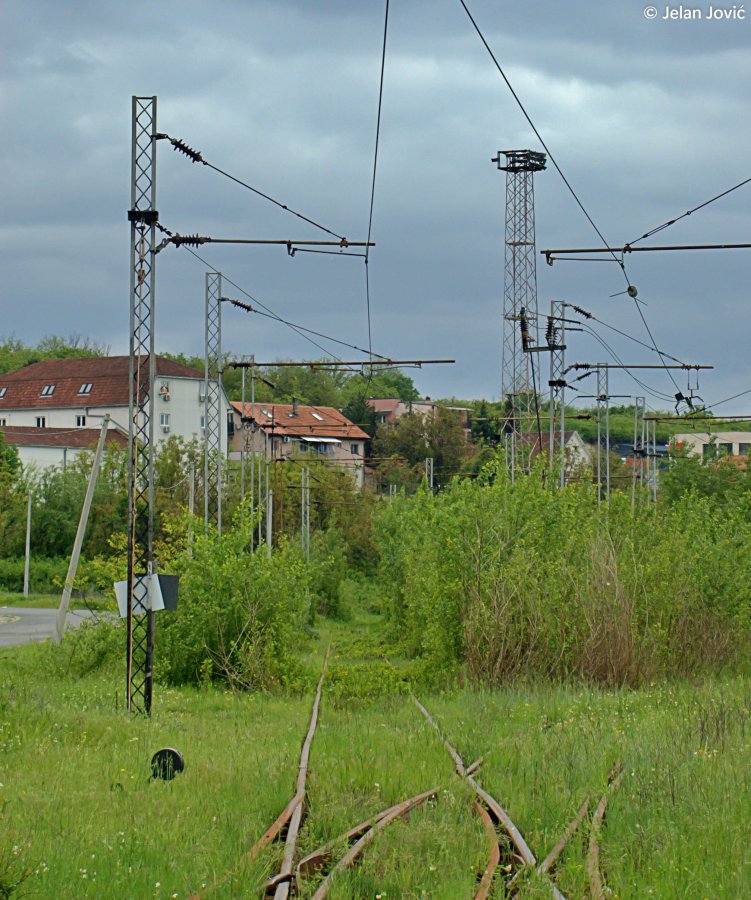 DSC_6405.JPG