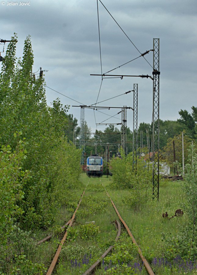 DSC_6412.JPG