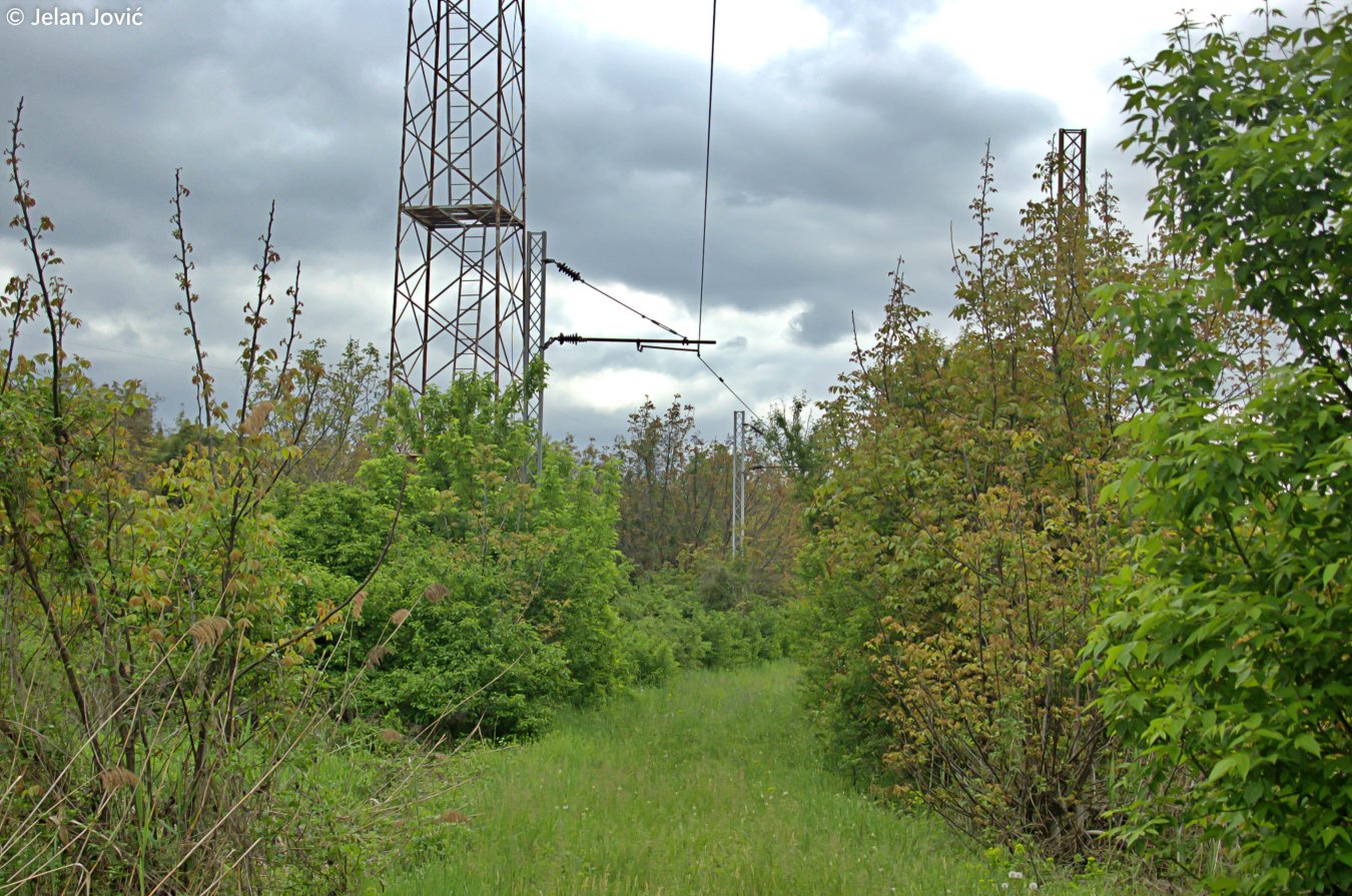 DSC_6413.JPG