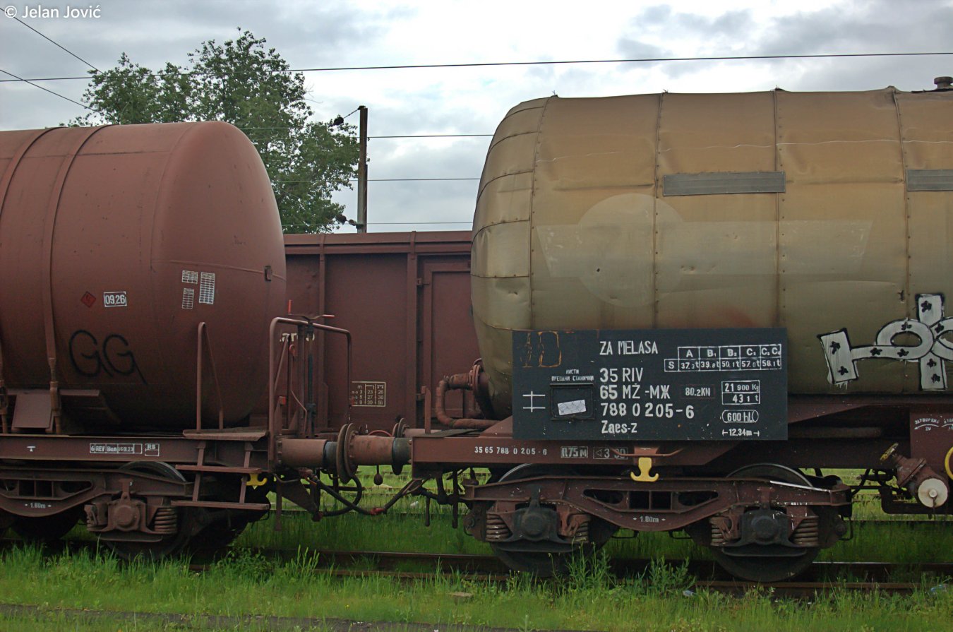 DSC_6437.JPG