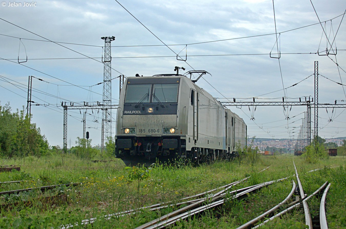DSC_6446.JPG