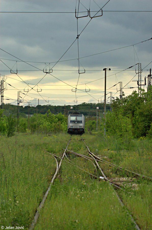 DSC_6452.JPG