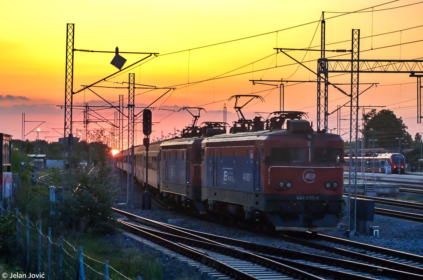 DSC_6487-2.JPG