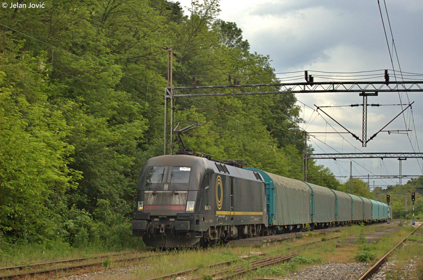 DSC_6675.JPG