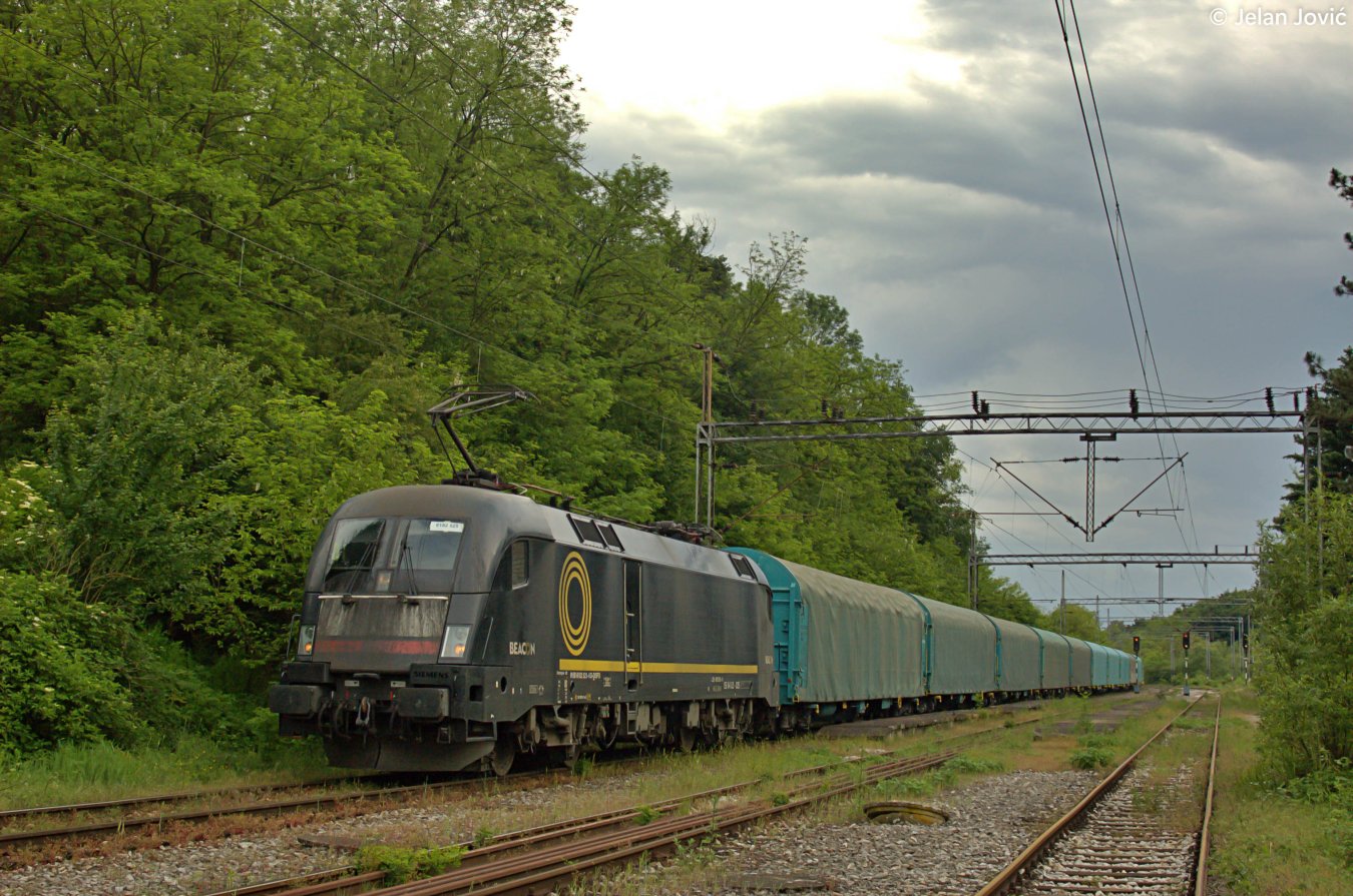 DSC_6677.JPG