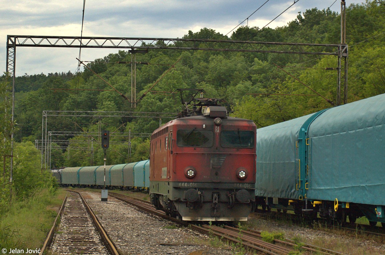 DSC_6684.JPG