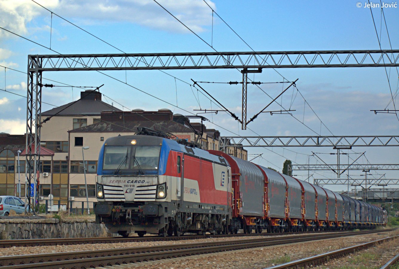 DSC_6766.JPG