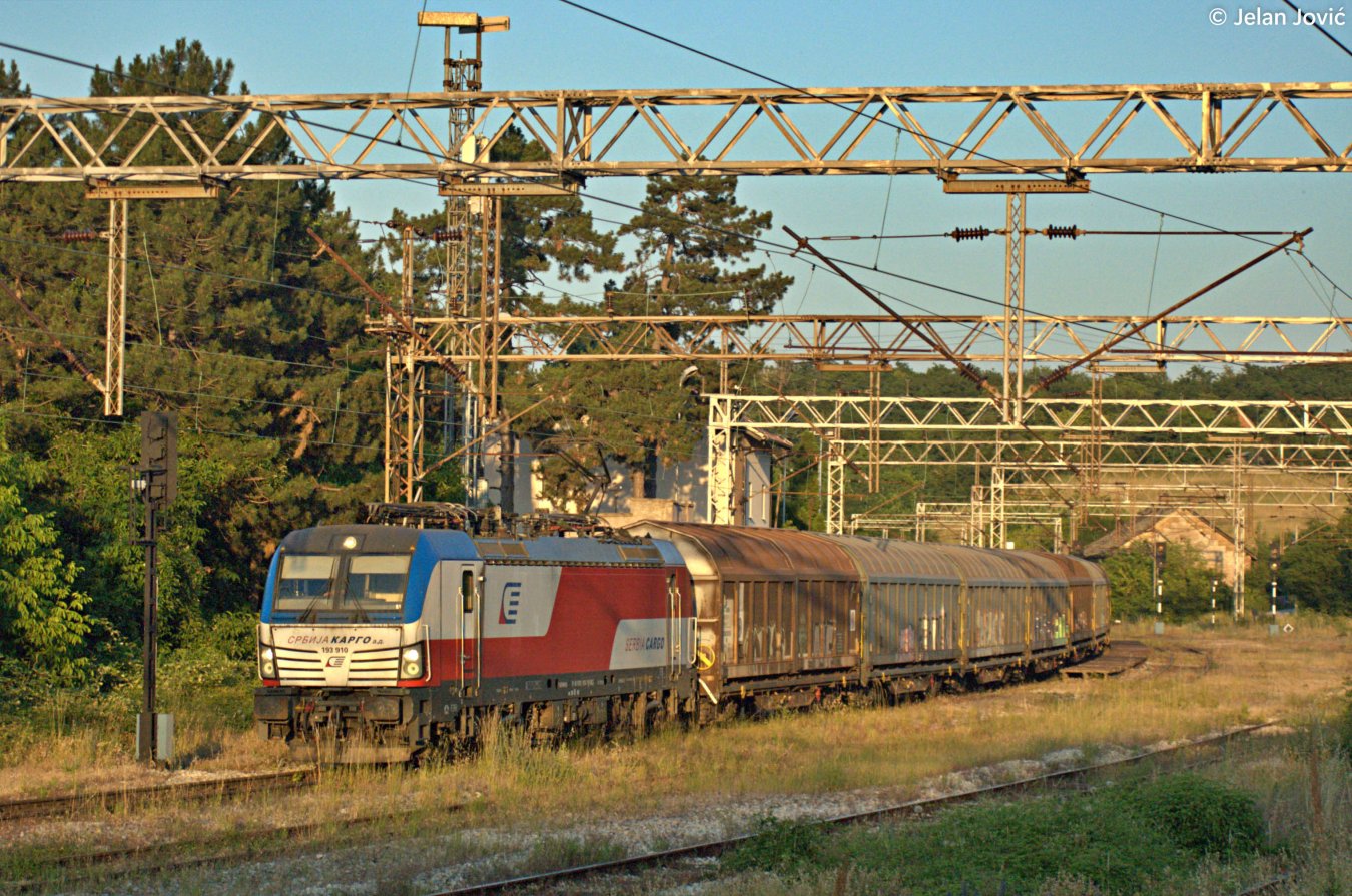 DSC_6805.JPG