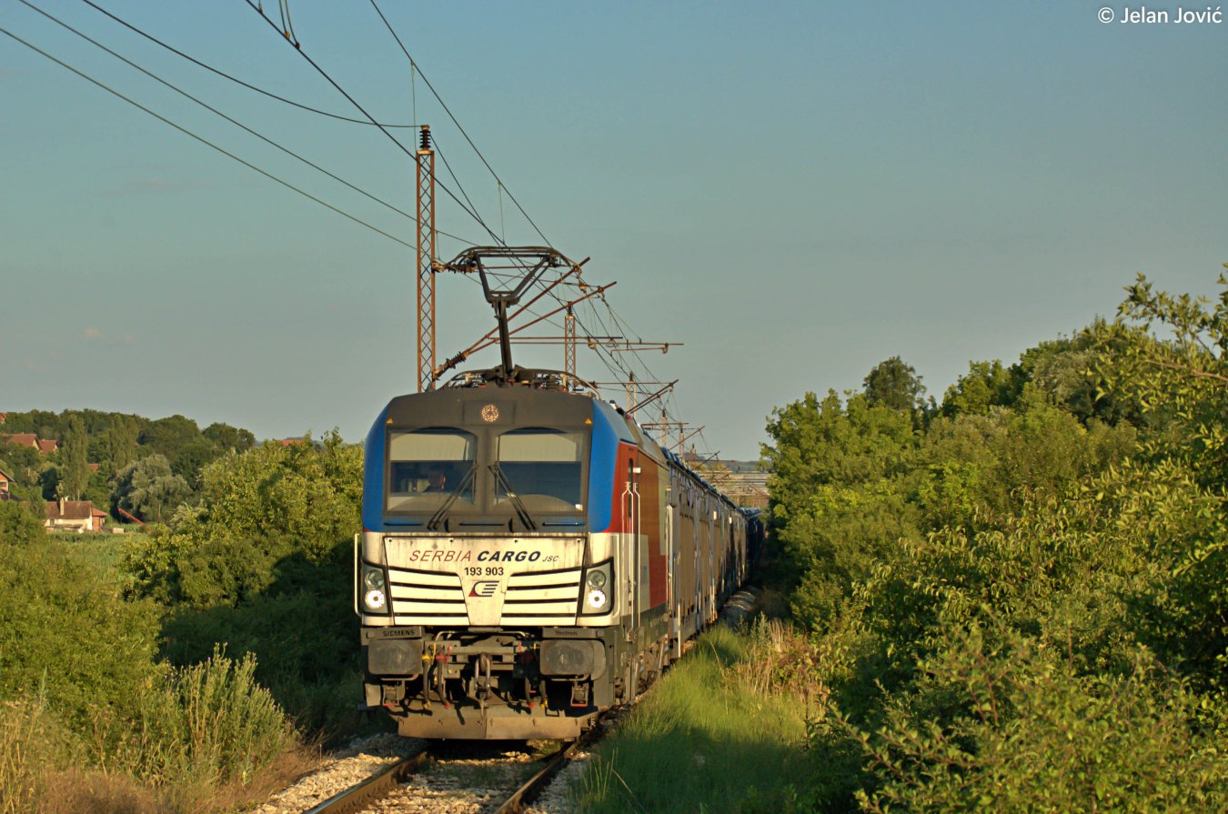 DSC_6881.JPG