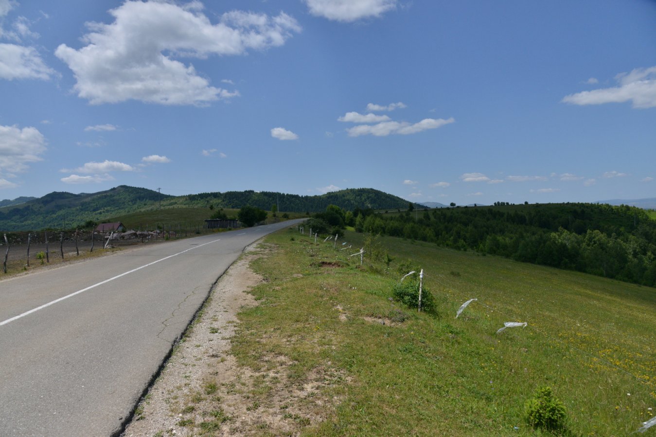 DSC_8617.JPG