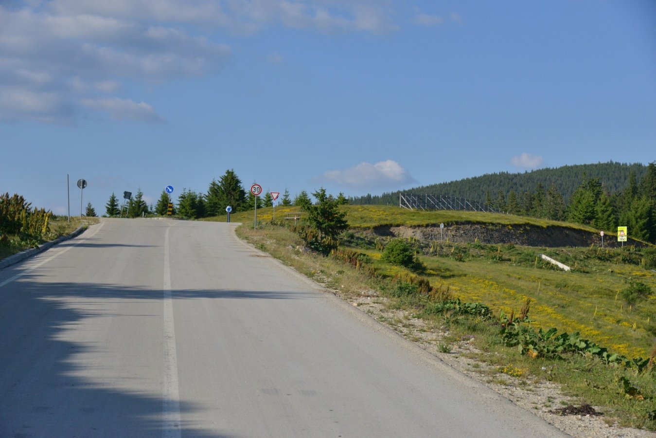 DSC_8789.jpg