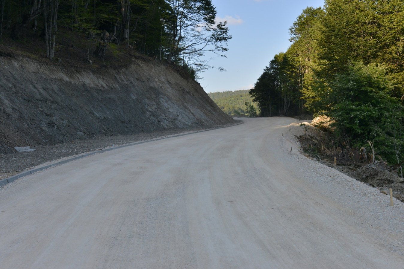 DSC_8794.jpg