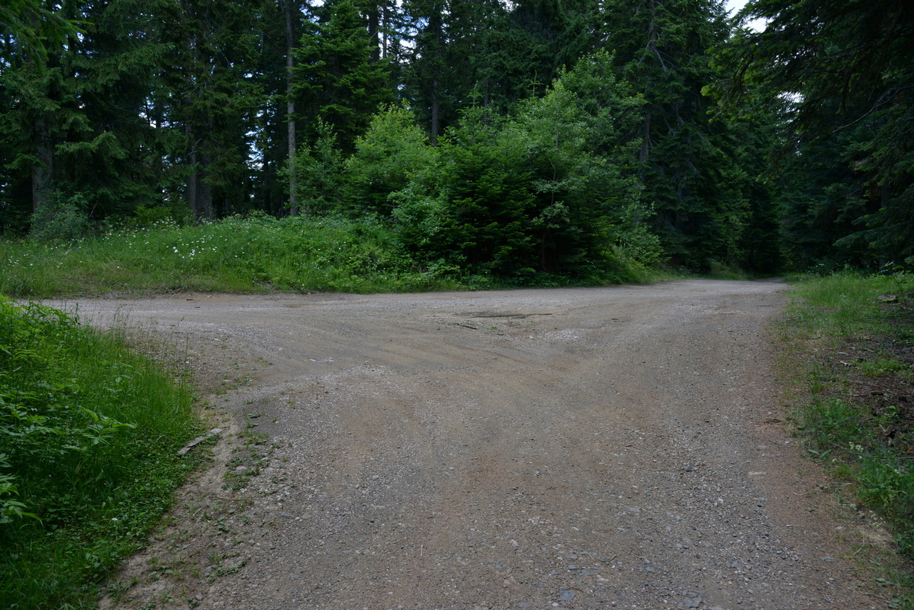 DSC_9166.JPG