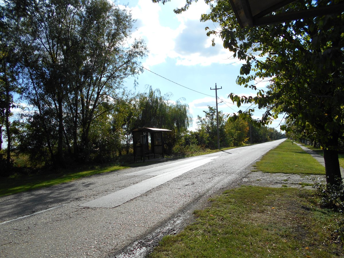 DSCN4121.JPG