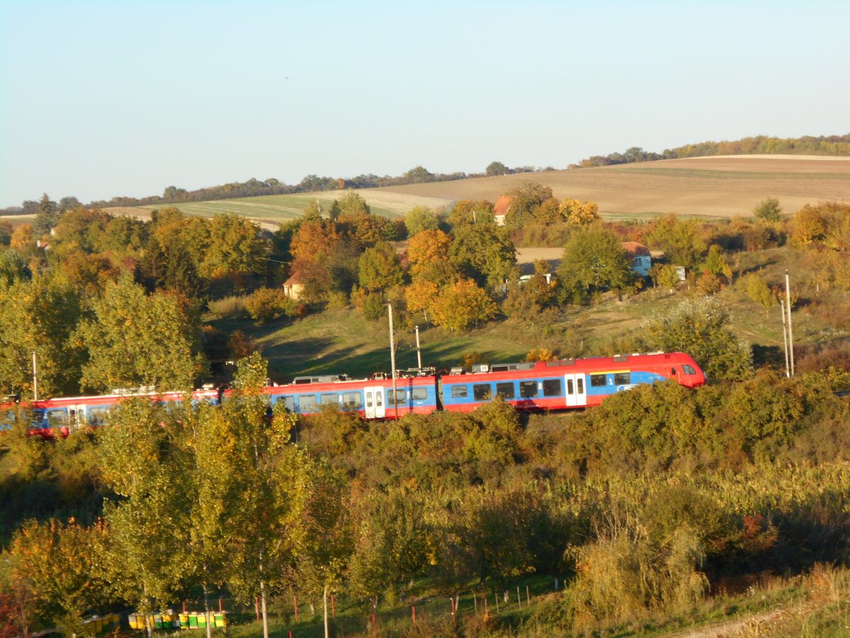 DSCN4294.JPG