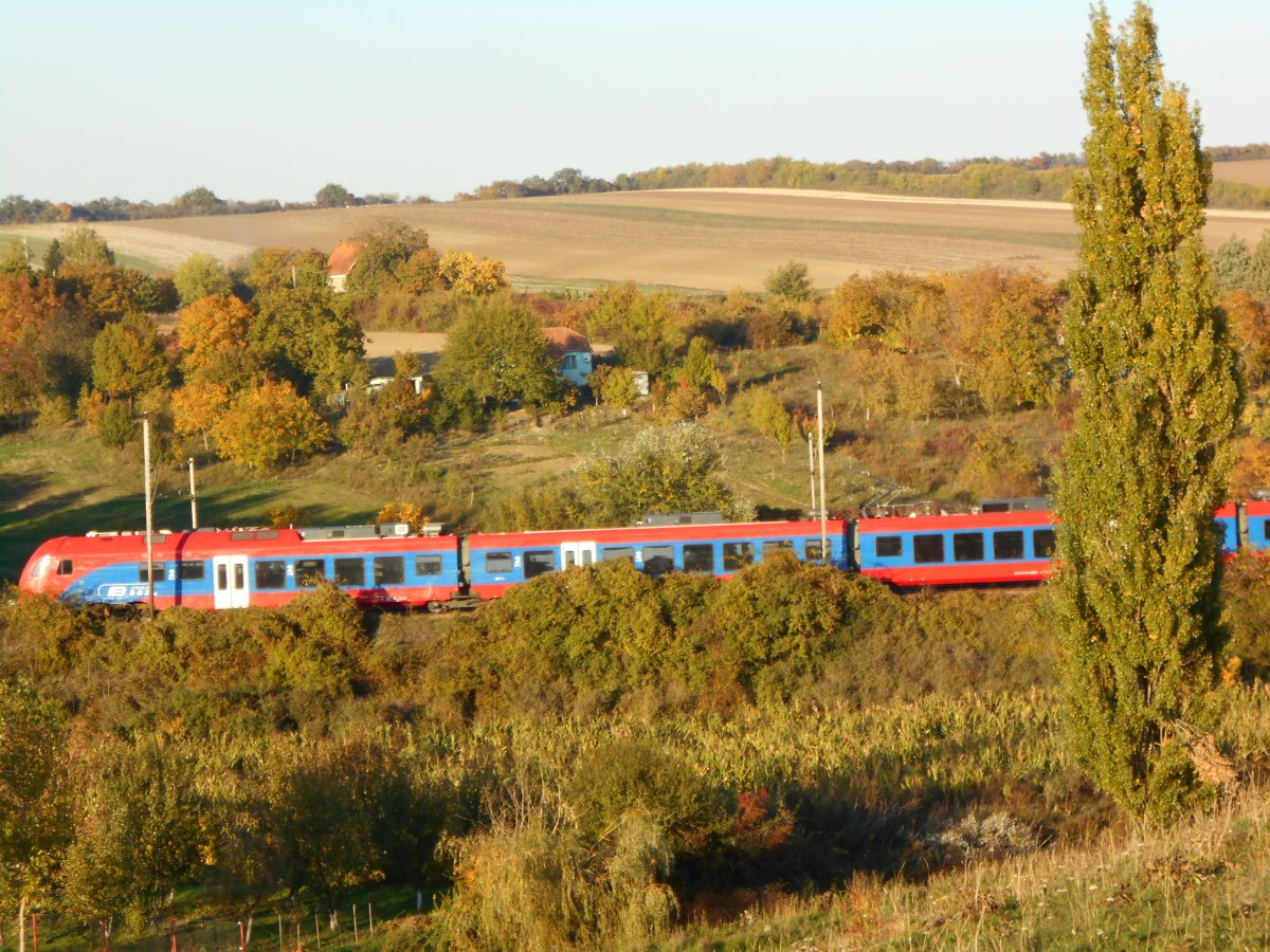 DSCN4295.JPG