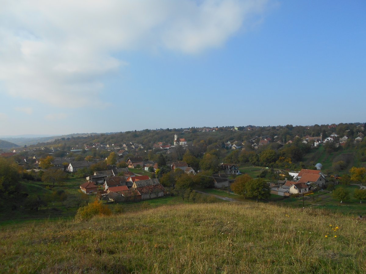 DSCN4436.JPG