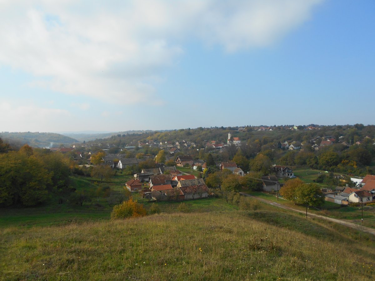 DSCN4442.JPG