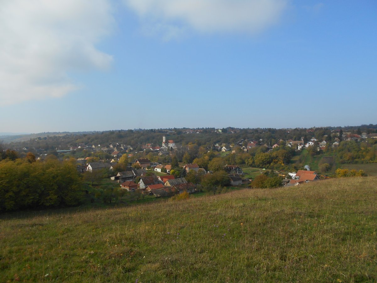 DSCN4453.JPG