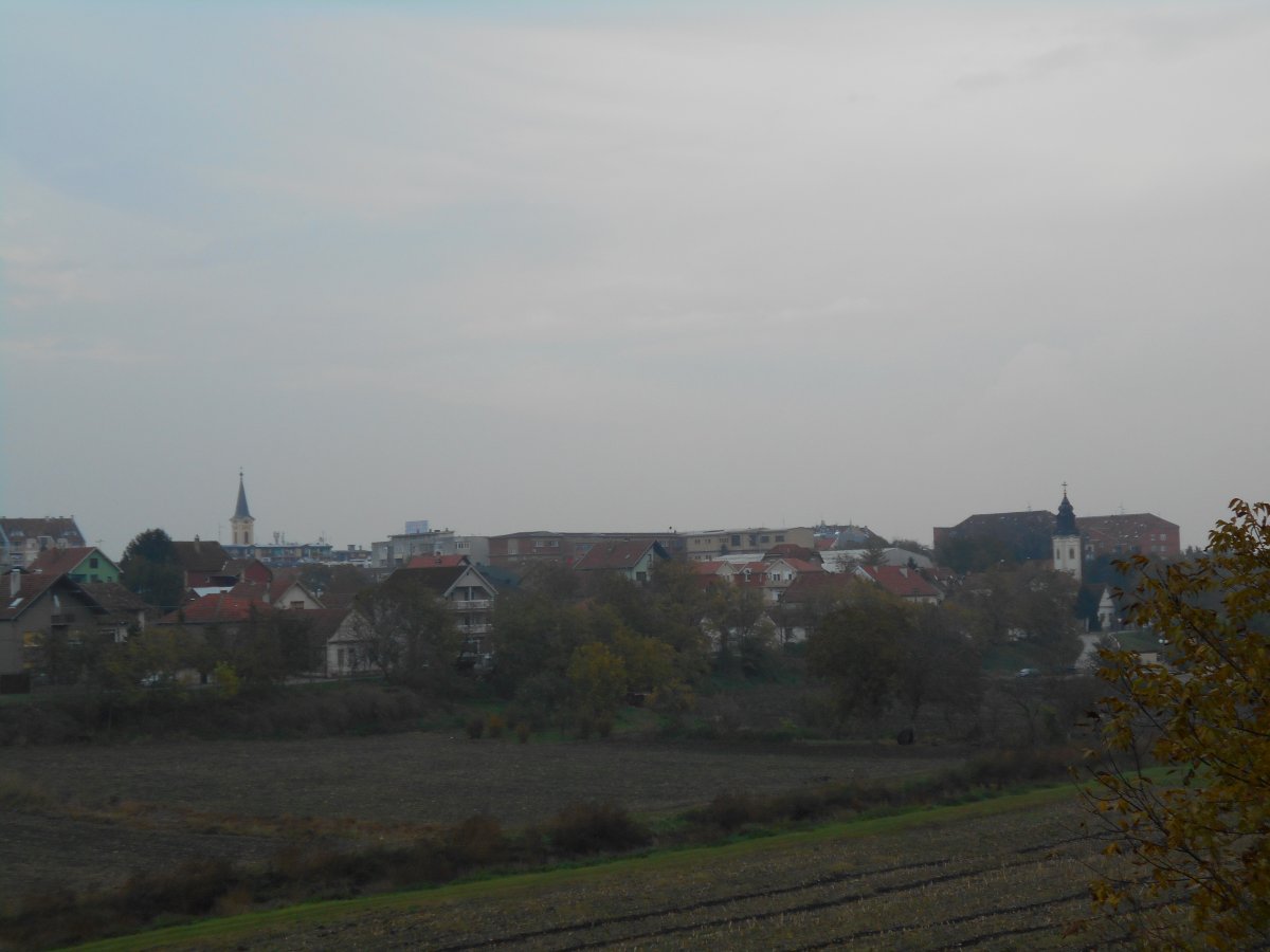 DSCN4661.JPG