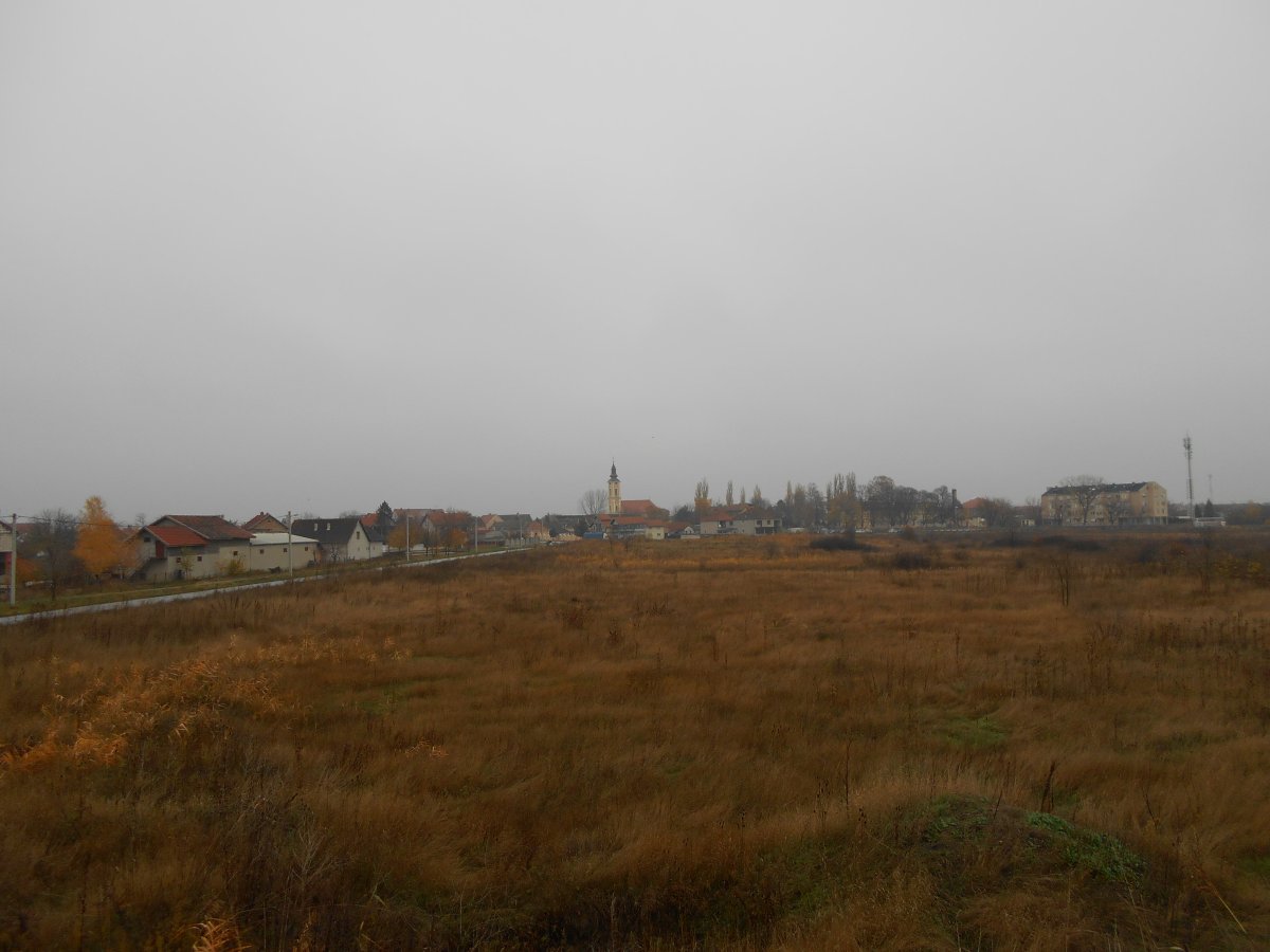 DSCN4856.JPG