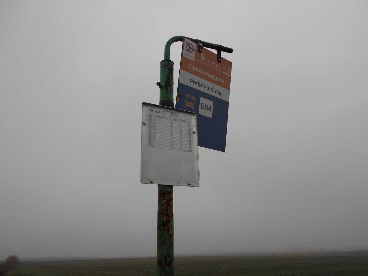 DSCN4872.JPG