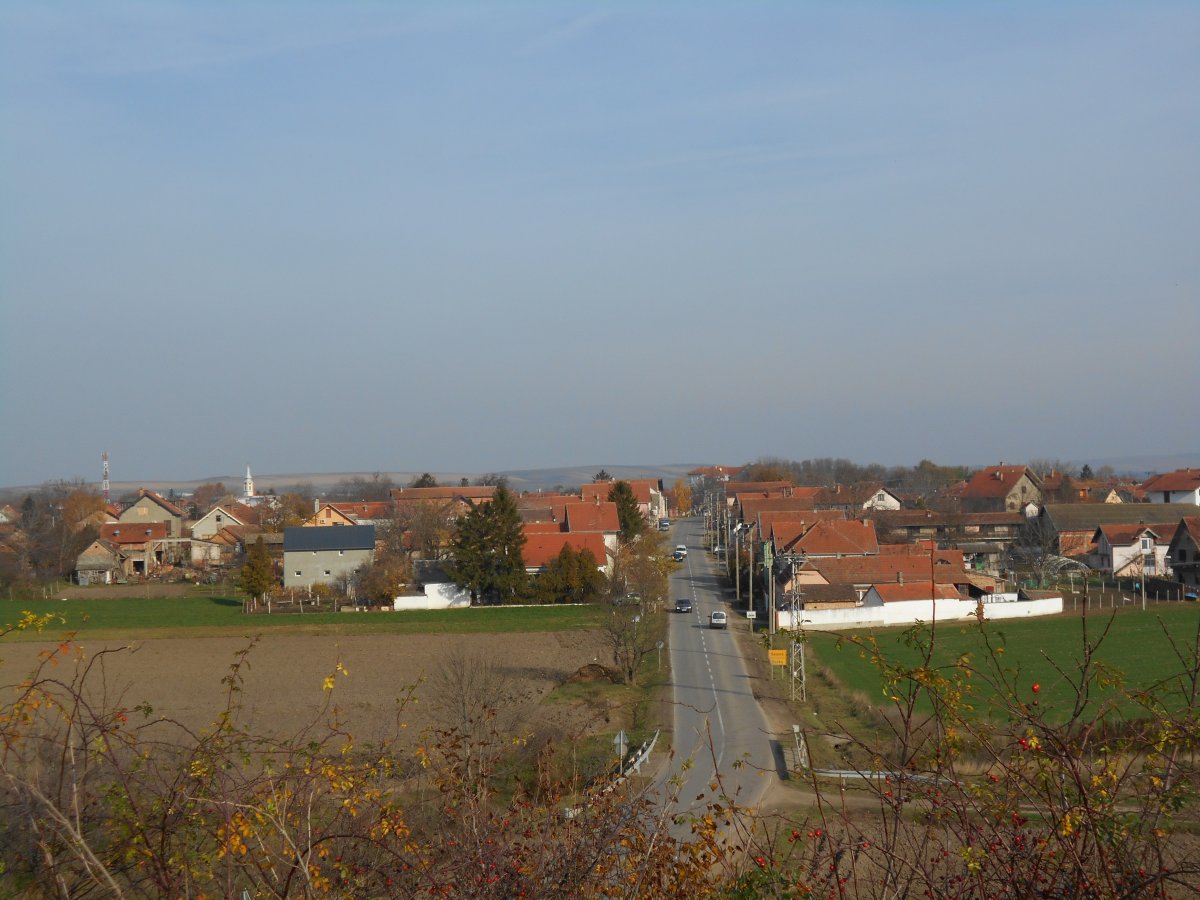 DSCN5088.JPG