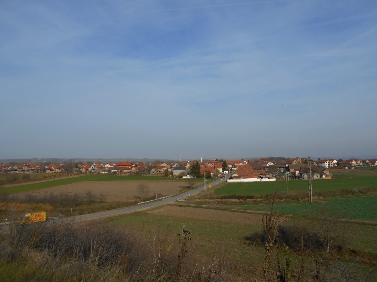 DSCN5089.JPG
