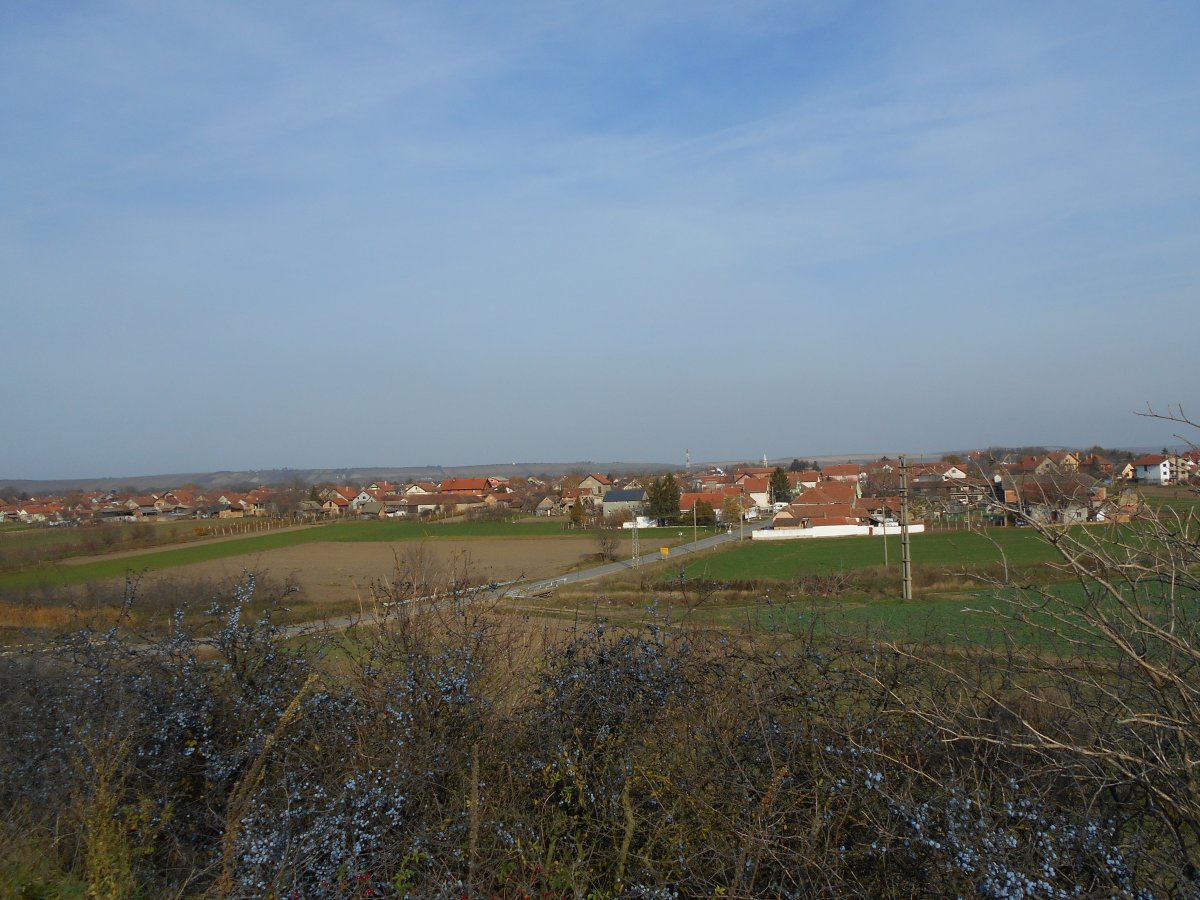 DSCN5095.JPG