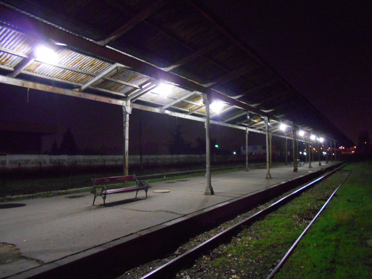 DSCN5330.JPG