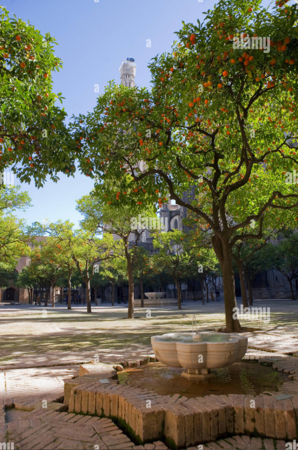Fountain-in-the-Patio-de-los-Naranjos-or-Orange-Tree-Courtyard-part-of-the-Seville-Cathedral-c...png