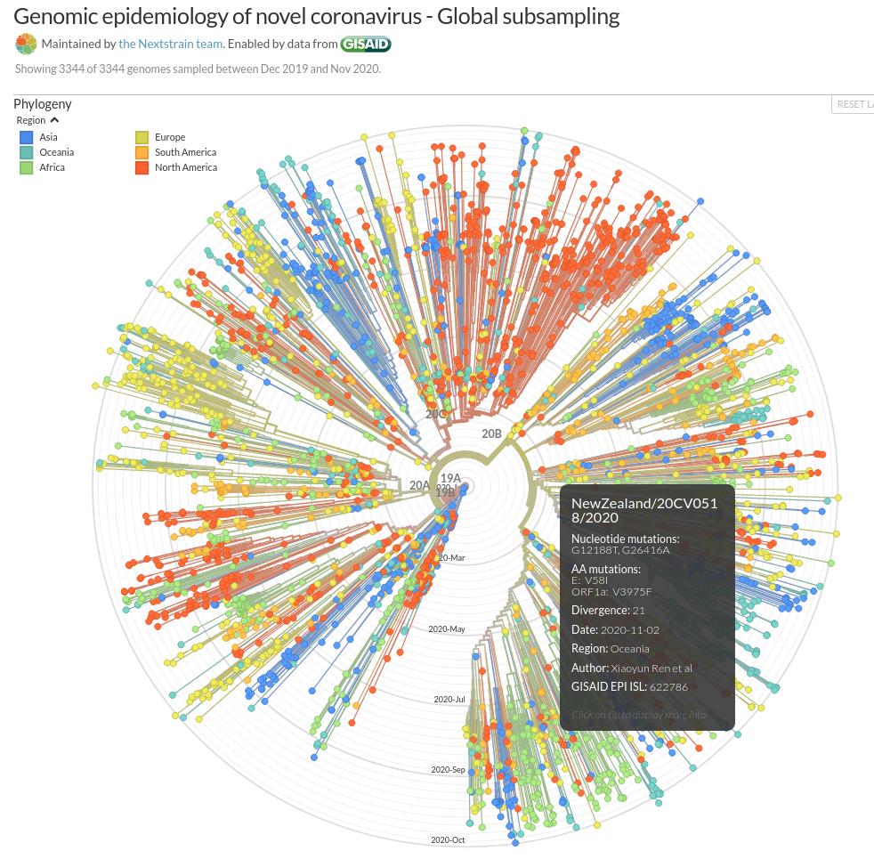 Genomic epidemiology of novel coronavirus - Global subsampling.jpg